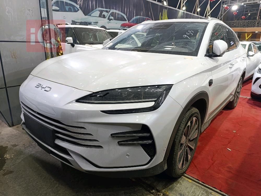 بی وای دی ‎سۆنگ پرۆ DM-i